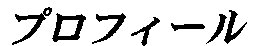 �v���t�B�[��