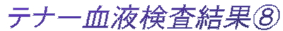 �e�i�[���t�������ʇG