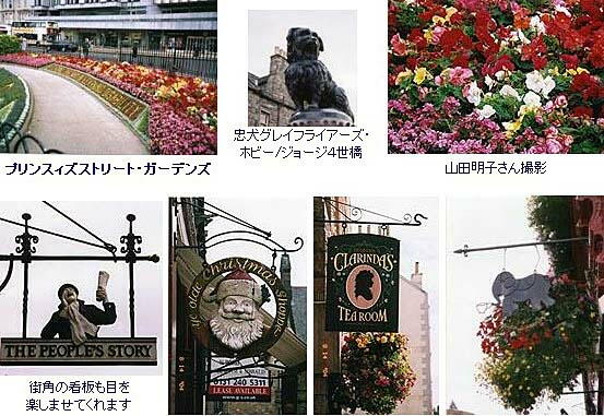 �G�f�B���o���̊X�p