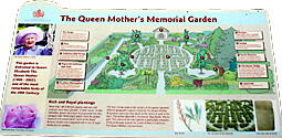 �N�C�[���}�U�[�Y�������A���K�[�f��