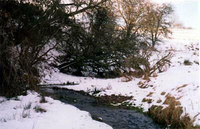 Edinburgh eca-George Donald5