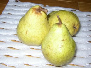 �m��