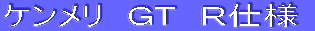 �X�J�C���C���@�f�s�@R�d�l