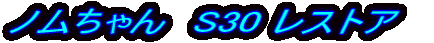 �m�������@S30 ���X�g�A�@