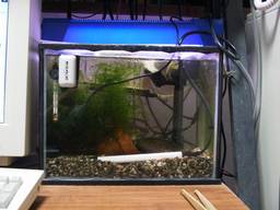 35cm�����S�i(10/14�B�e)