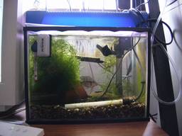 35cm�����S�i(10/28�B�e)