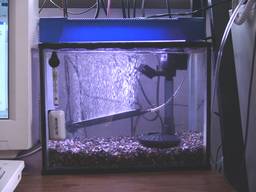 35cm�����S�i