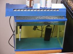 40cm�����S�i(12/29�B�e)