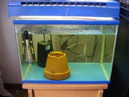 40cm�����S�i(12/31�B�e)