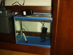 40cm�����S�i