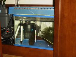 40cm�����S�i