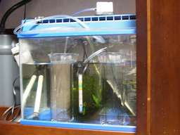 �u���C���z���e�X�g��(5/30�B�e)