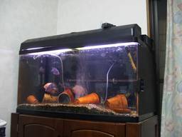 90cm�����S�i(10/14�B�e)