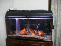 90cm�����S�i(10/28�B�e)