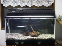 90cm����(2)�S�i(10/14�B�e)