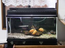 90cm����(2)�S�i(10/21�B�e)