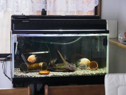 90cm����(2)�S�i(10/28�B�e)