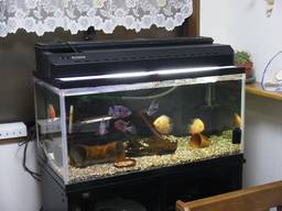 90cm����(2)�S�i(11/02�B�e)