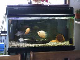 90cm����(2)�S�i(12/29�B�e)