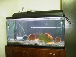 90cm�����S�i(01/03/31)