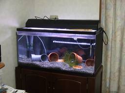 90cm�����S�i(01/04/12)