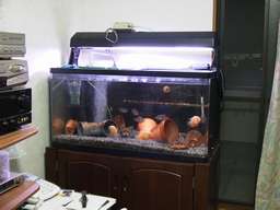 �u�������t�g�A�b�v��