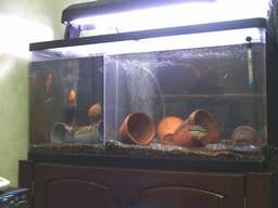 90cm�����S�i