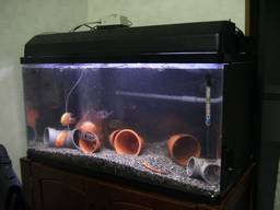 90cm���� �S�i(7/16�B�e)