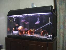 90cm���� �S�i(7/20�B�e)