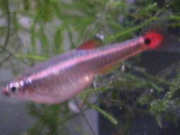 �A�J�q��(3/31�B�e��)