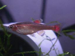 �A�J�q��(4/13�B�e������2)