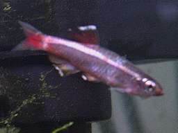 ��Q��(5/19�B�e��)