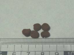 �Ђ���N���X�g �L���b�g ���g