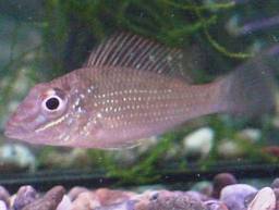 �W�����p��(3/22�B�e��)