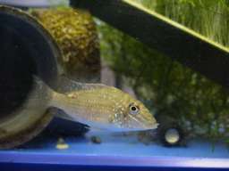 �������̃W�����p��(5/26�B�e)