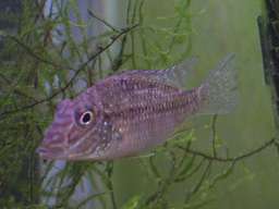 �������̃W�����p��(5/26�B�e��)