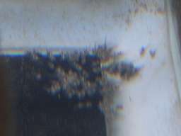 �T���r�j�[�V�N���b�h�̎��R�V�j�O�̒t��(�z����4����)