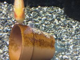 �Z�x�����Y��