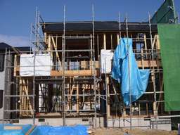 �쑤���B�e