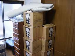 �_���{�[���̎R