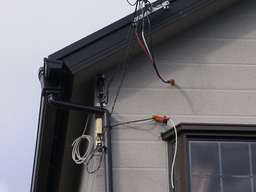 �Q�K�o���t�߂��B�e