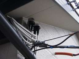 �쑤�x�����_