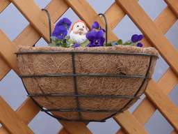 �E�b�h�t�F���X���B�e