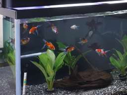 �������B�e