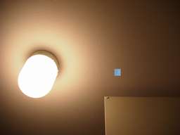 ���ʏ��̏Ɩ����B�e