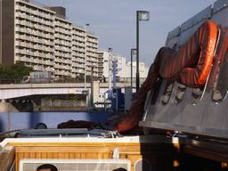 ���ږx�쐅��Œ�D��