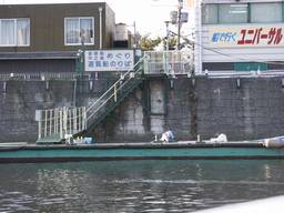 ���V�����V��