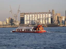 �I�N�g�o�X�A�S��