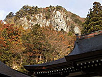 ���᎛�̊��ʐ^