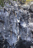 �����J�t�H�g